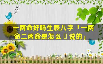 一两命好吗生辰八字「一两命二两命是怎么 ☘ 说的」